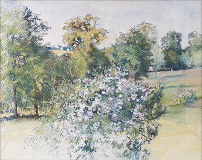 Junio desde nuestra ventana, 2007 de Caroline Hervey Bathurst