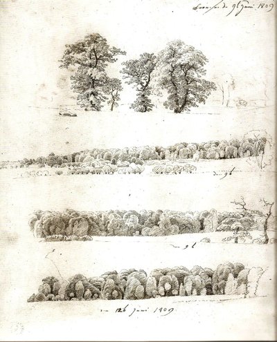 Estudios sobre árboles 1809 de Caspar David Friedrich