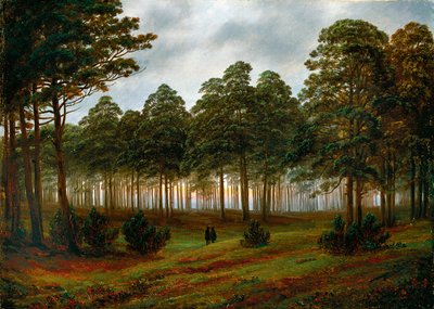 Tarde de Caspar David Friedrich