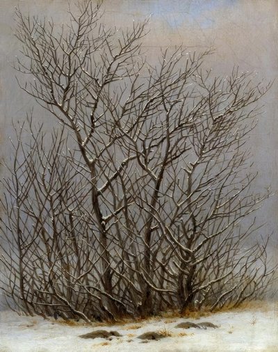 Arbustos en la nieve de Caspar David Friedrich