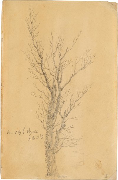 Alemán: Baumstudie Estudio de un árbol de Caspar David Friedrich