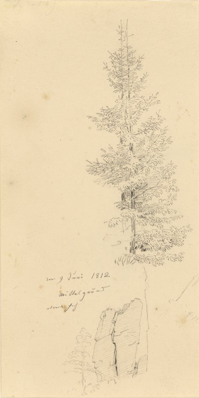 Alemán: Studie mit Fichten und Felsen Estudio de abetos y una roca de Caspar David Friedrich
