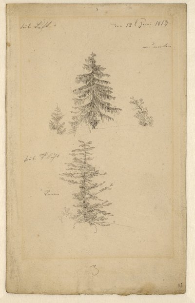 Alemán: Zwei Tannenstudien Dos estudios sobre abetos de Caspar David Friedrich