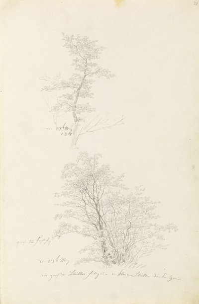 Grupo de árboles jóvenes de Caspar David Friedrich