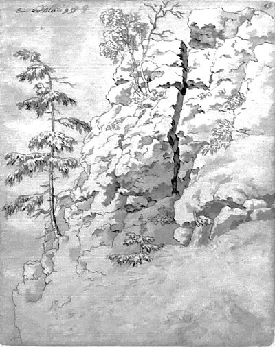 Ladera rocosa con árboles de Caspar David Friedrich