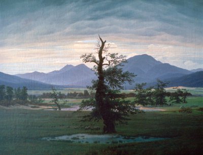 El árbol solitario, 1823 de Caspar David Friedrich