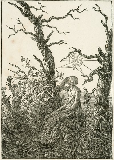Mujer con tela de araña entre árboles desnudos de Caspar David Friedrich