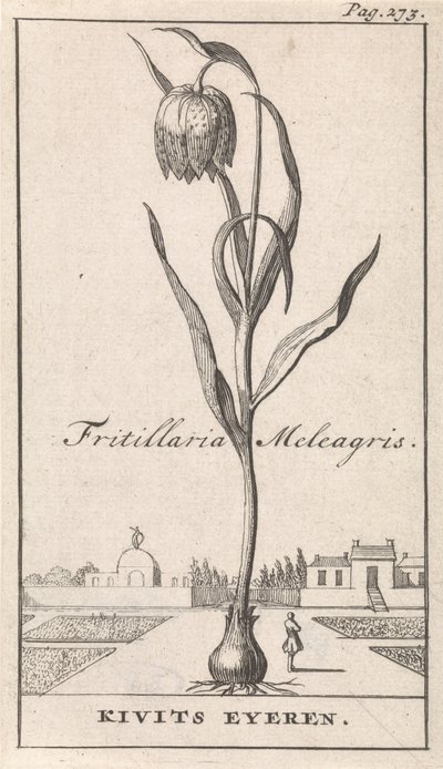 Página de título y ocho impresiones con flores Kievitsbloem Fritillaria Meleagris / Kivits Eyeren (título sobre el objeto) de Caspar Luyken