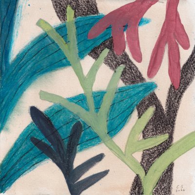 Follaje abstracto y colorido de Catalina Somolinos