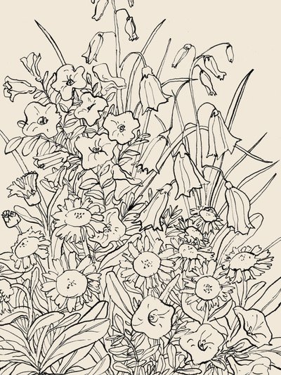 Flores silvestres de jardín de Catalina Somolinos