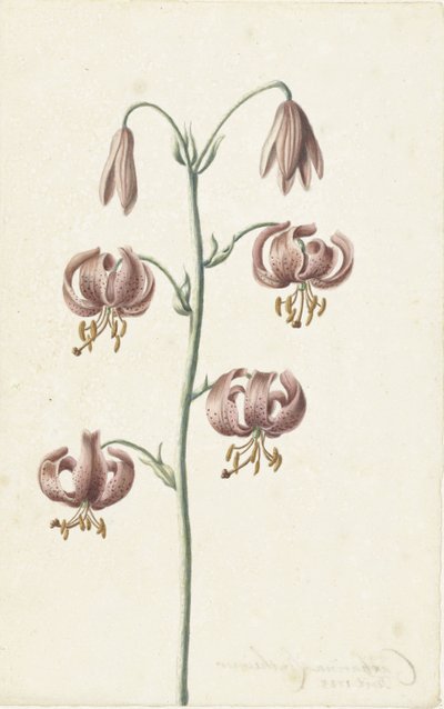 Ramita con lirios de color marrón rojizo de Catharina Lintheimer