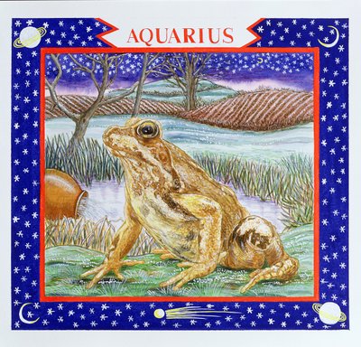 Acuario de Catherine Bradbury