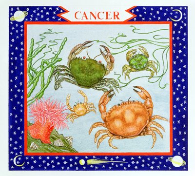 Cáncer de Catherine Bradbury