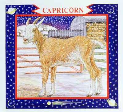 Capricornio de Catherine Bradbury