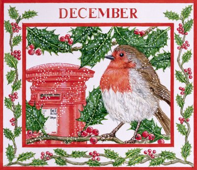 Diciembre de Catherine Bradbury