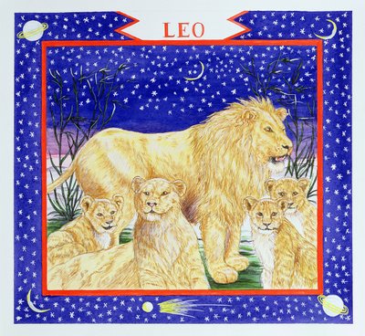 Leo de Catherine Bradbury