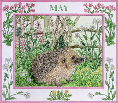 Mayo de Catherine Bradbury