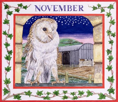 Noviembre de Catherine Bradbury