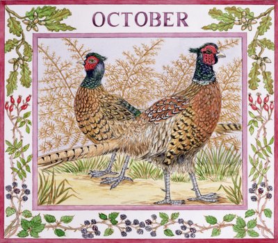 Octubre de Catherine Bradbury