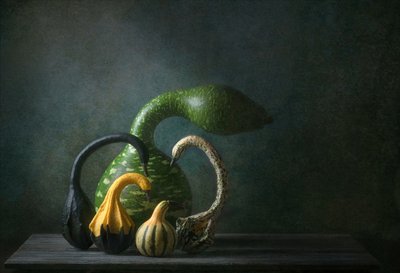 Naturaleza muerta con calabazas de otoño de Catherine Wang