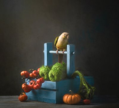 Naturaleza muerta con un loro en otoño de Catherine Wang