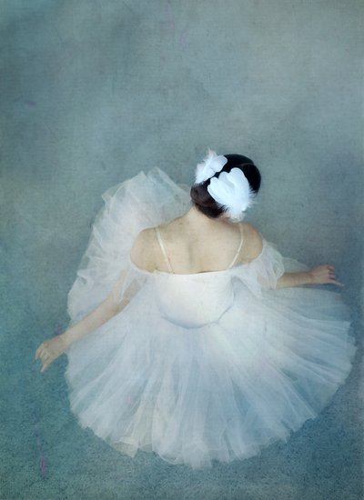 Elegante bailarina cisne de Catherine Wang