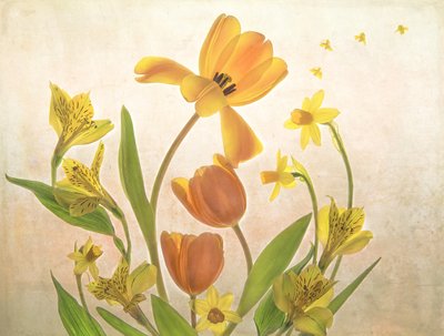 Flores de primavera doradas de Catherine Wang