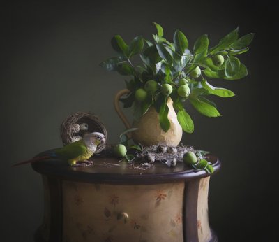 Naturaleza muerta con un loro verde de Catherine Wang