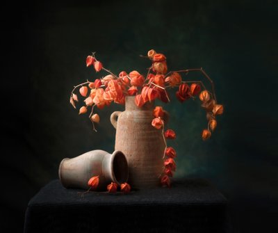  de Catherine Wang