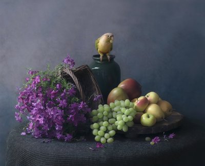 Naturaleza muerta con un loro de Catherine Wang