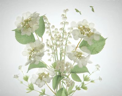 Ramo «White Lily Valley» de Catherine Wang