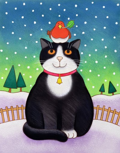 Gato con petirrojo de Cathy Baxter