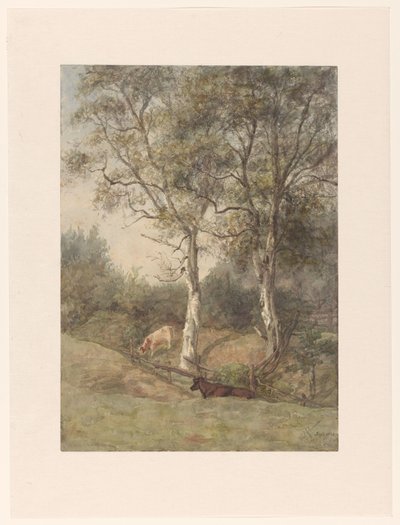 Paisaje forestal con vacas, cerca de Wolfheze de Cato Kool