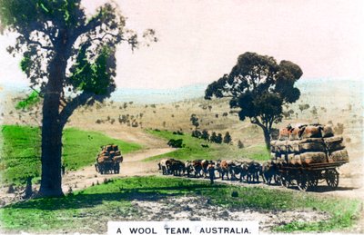 Un equipo de lana, Australia, c1920s de Cavenders Ltd