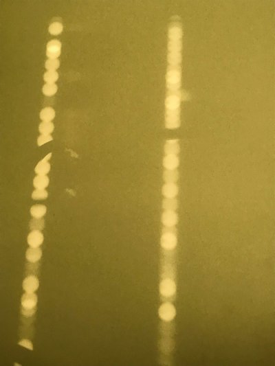 Composición - Luz, 2019 (foto) de Cécile Jamet