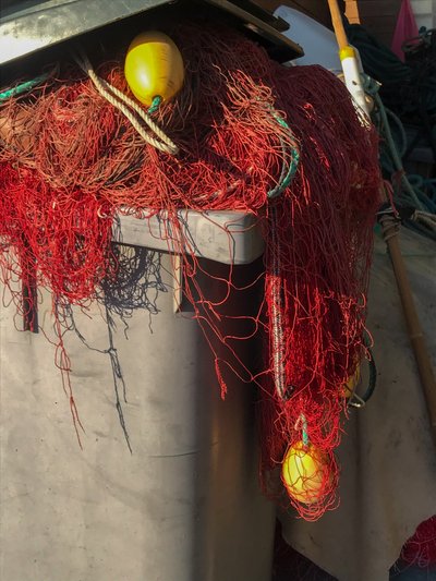Composición - Redes, 2019 (foto) de Cécile Jamet