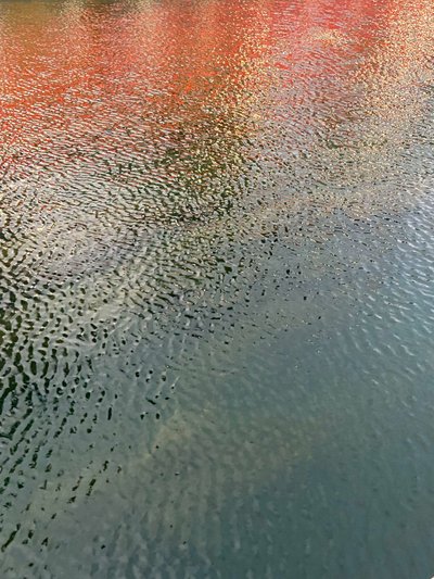 Composición - Reflejos, 2022 (foto) de Cécile Jamet