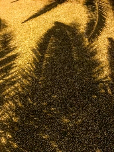 Composición - Sombras, 2021 (foto) de Cécile Jamet