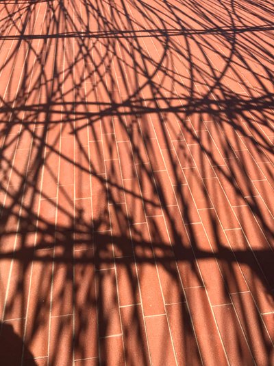Composición - Sombras, 2021 (foto) de Cécile Jamet