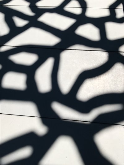 Composición - Sombras, 2021 (foto) de Cécile Jamet