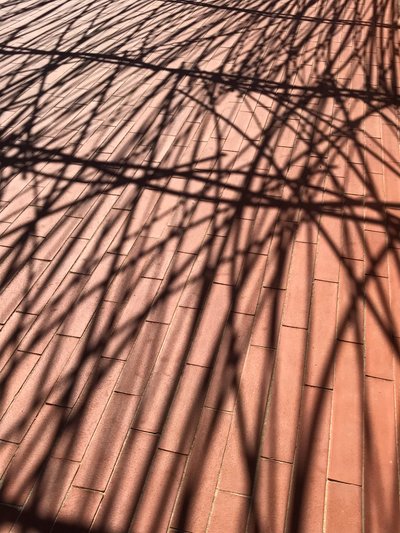 Composición - Sombras, 2021 (foto) de Cécile Jamet