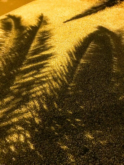 Composición - Sombras, 2021 (foto) de Cécile Jamet