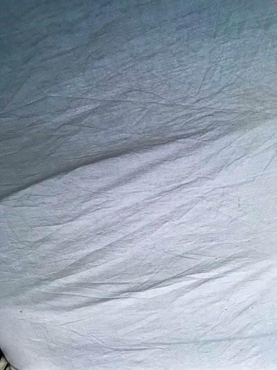 Composición - Carpa, 2019 (foto) de Cécile Jamet