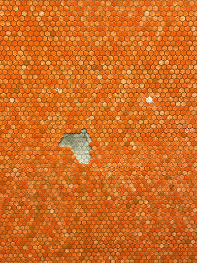 Composición - mosaico, 2022 (foto) de Cécile Jamet