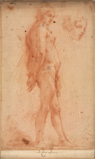 Estudio de un desnudo masculino de pie, con un estudio de la cabeza de perfil de tres cuartos de Cecco Bravo