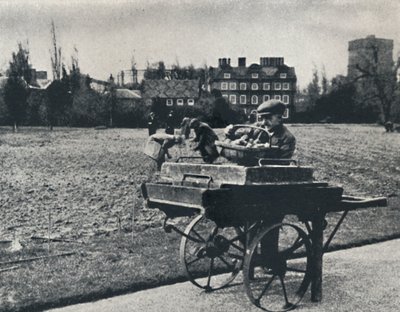 Patatas en Kew Gardens, 1941 de Cecil Beaton