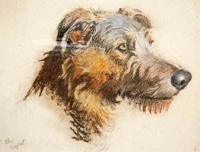 Un Lebrel Escocés de Cecil Charles Windsor Aldin