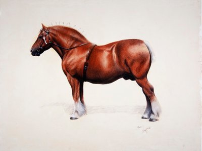 Un campeón Suffolk Punch de Cecil Charles Windsor Aldin