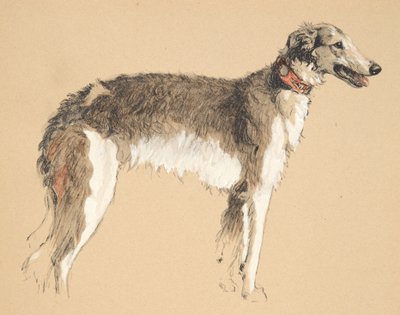 Borzoi, 1930, Ilustraciones de su cuaderno de bocetos utilizado para Just Among Friends, publicado más tarde por Eyre y Spottiswoode Limited, 1934 de Cecil Charles Windsor Aldin