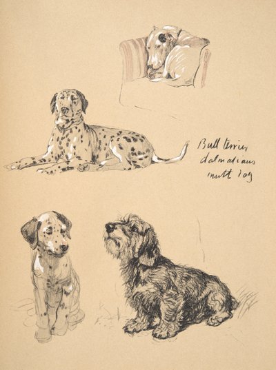 Bull Terrier, Dálmatas y perro mestizo, 1930, Ilustraciones de su Sketch Book usado para Just Among Friends, Aldin, Cecil Charles Windsor (1870-1935), publicado posteriormente por Eyre and Spottiswoode Limited, 1934 de Cecil Charles Windsor Aldin